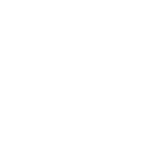 Pro Rider